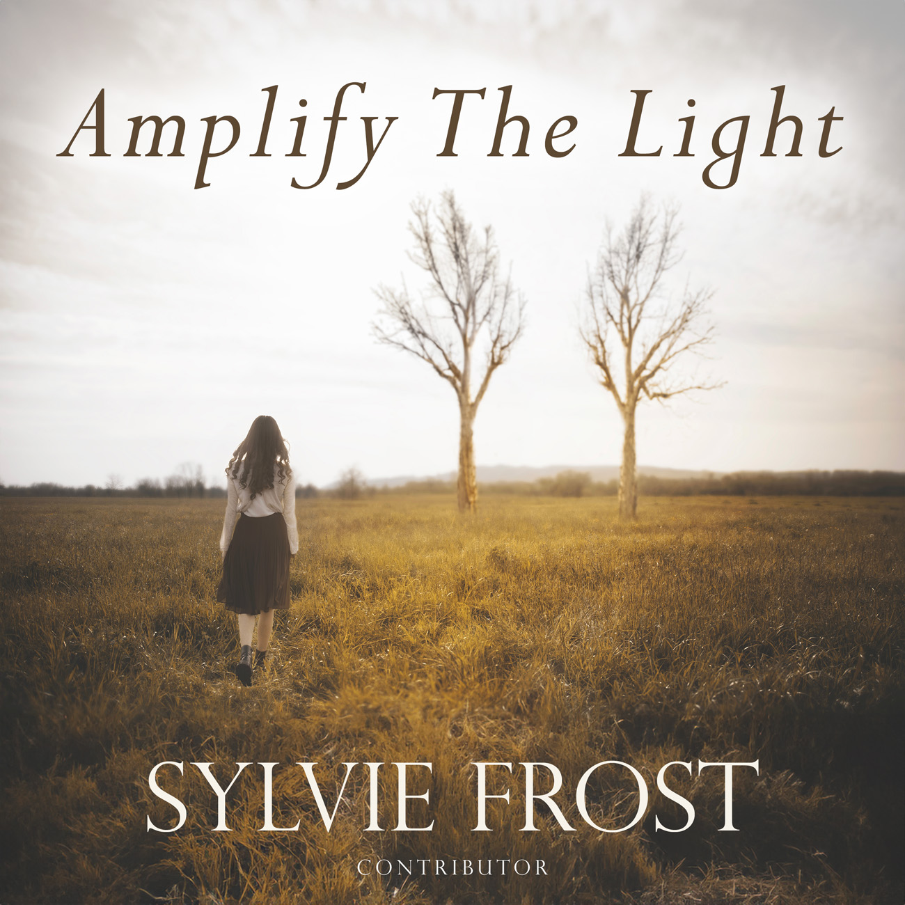 Premade Book Cover Millbrook