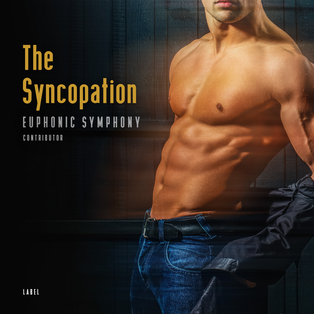 Premade Book Cover Twine