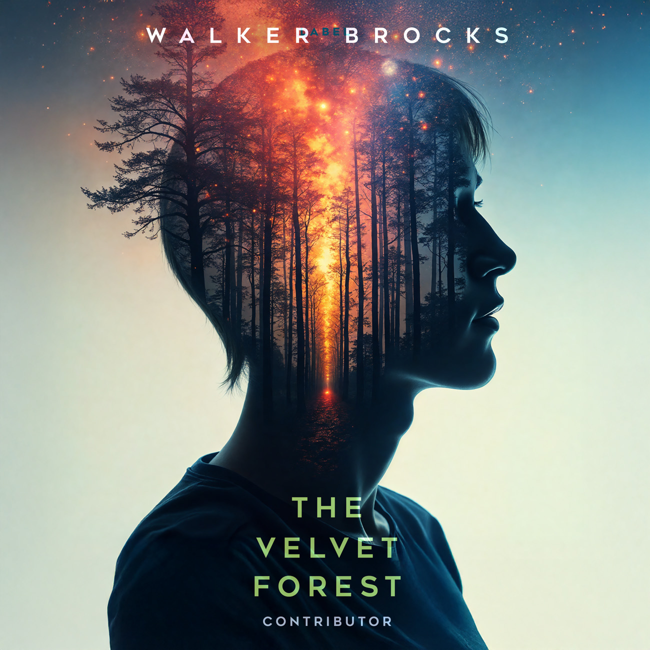 Premade Book Cover Big Stone