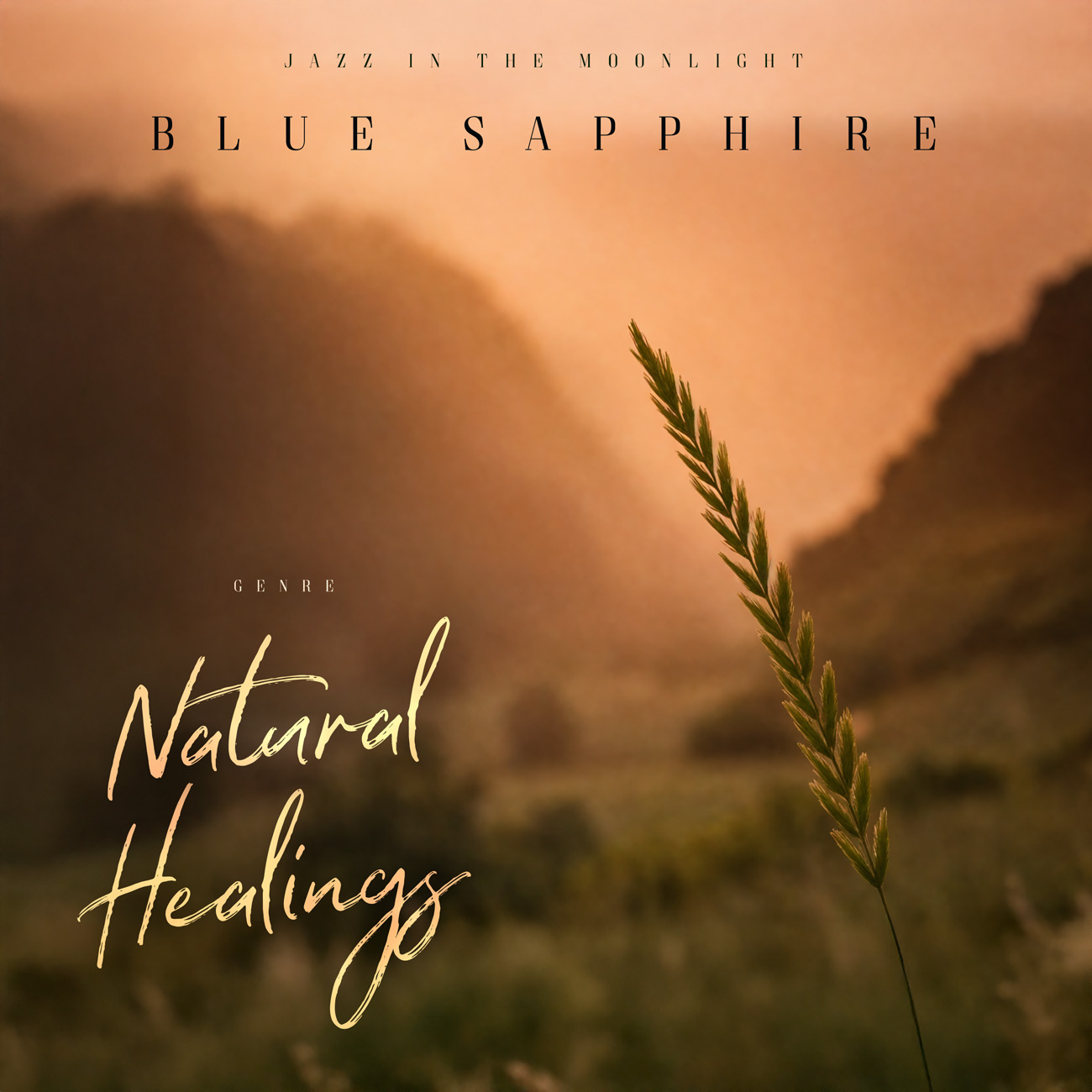 Premade Book Cover Apricot