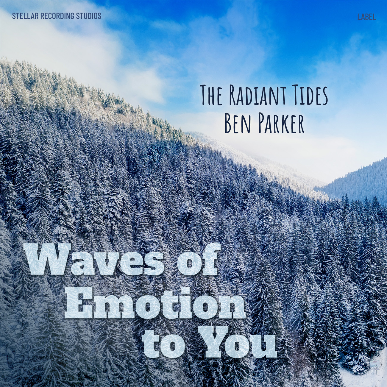 Premade Book Cover Blue Bayoux