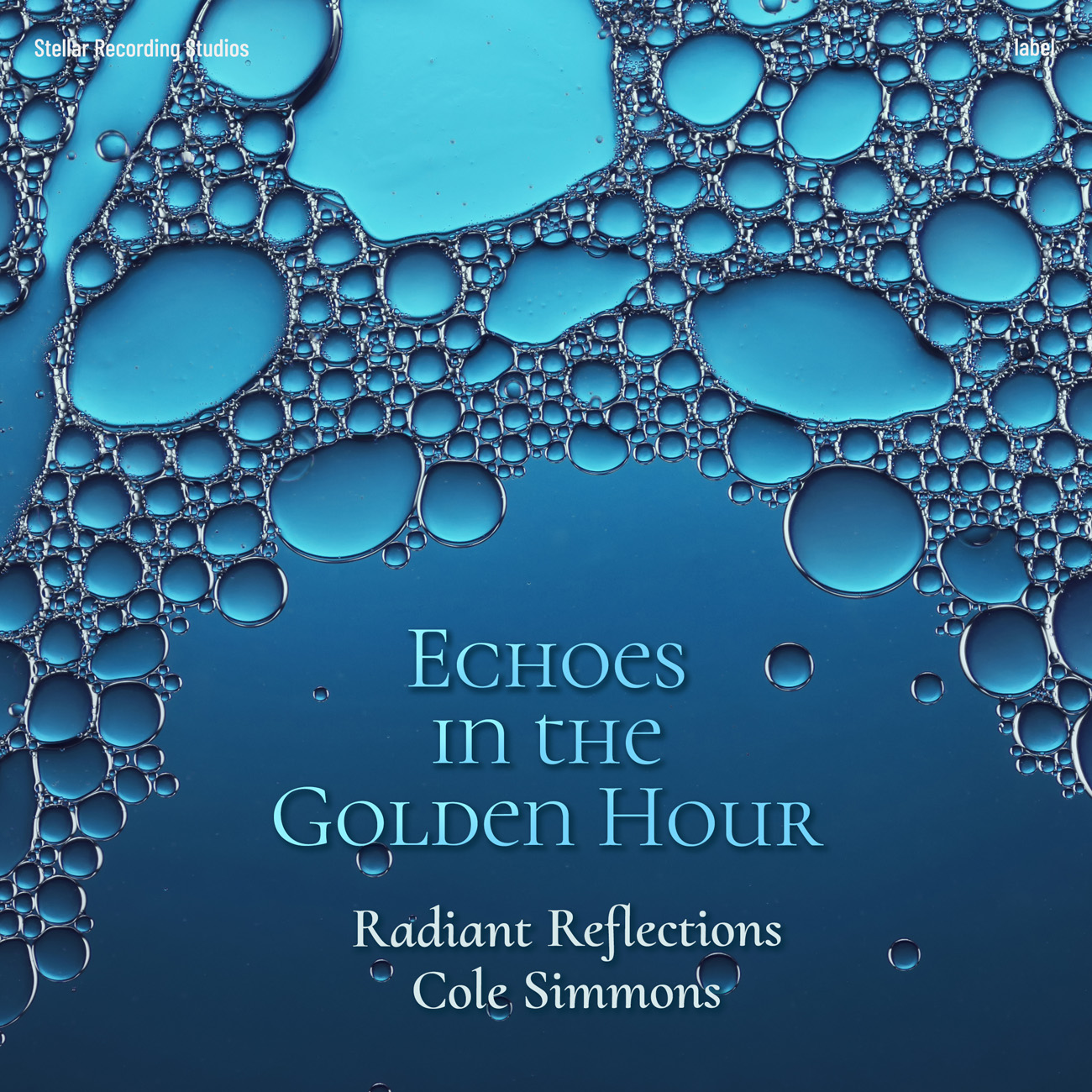 Premade Book Cover Biscay