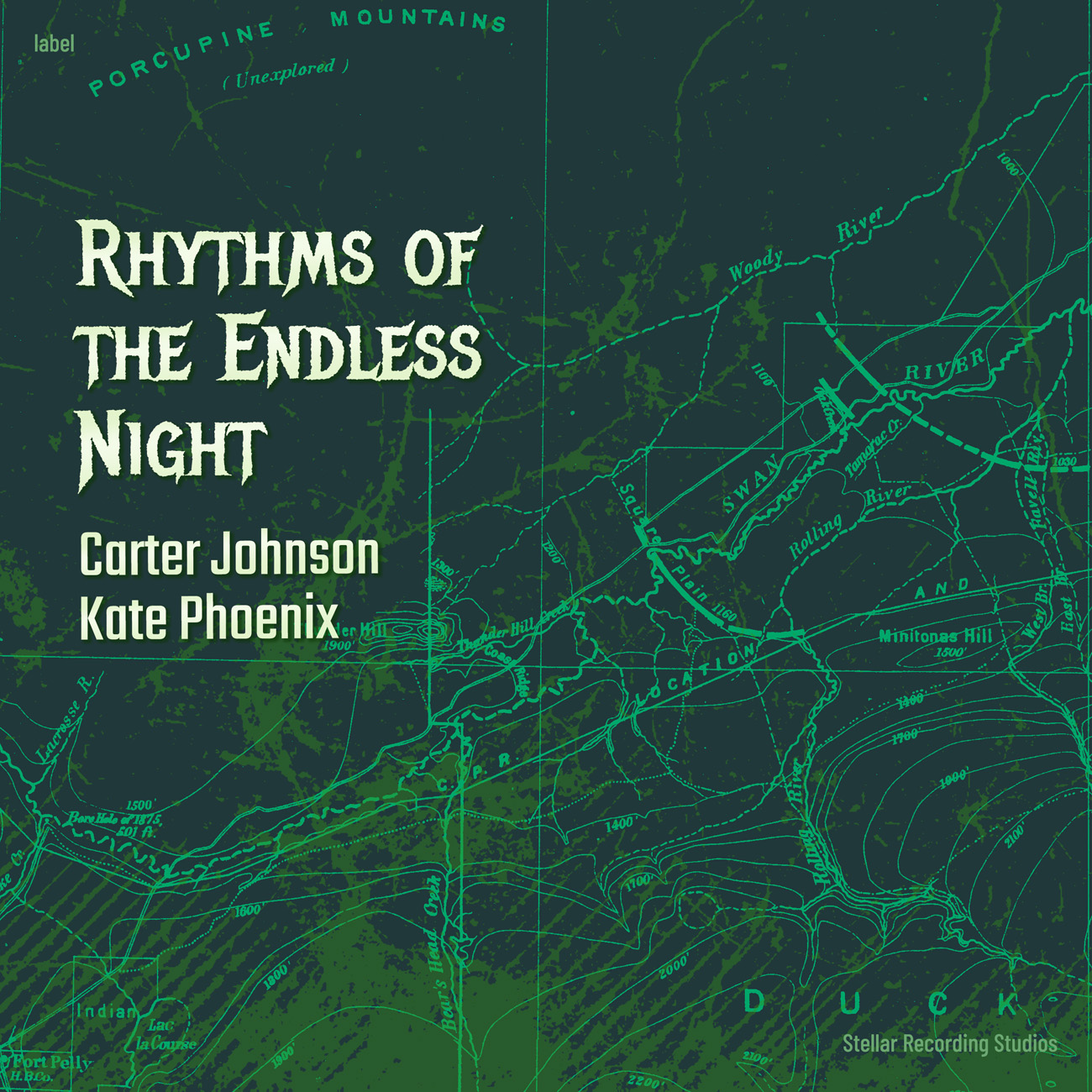 Premade Book Cover Te Papa Green