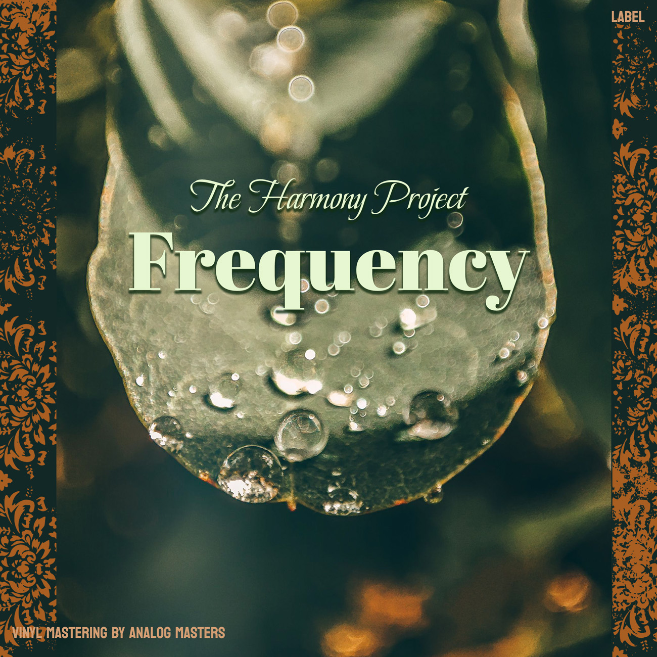 Premade Book Cover Mongoose