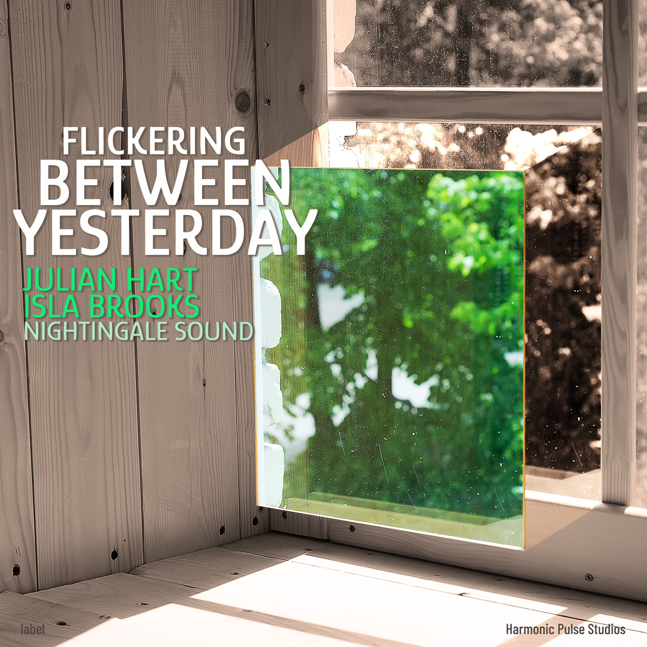 Premade Book Cover Pablo