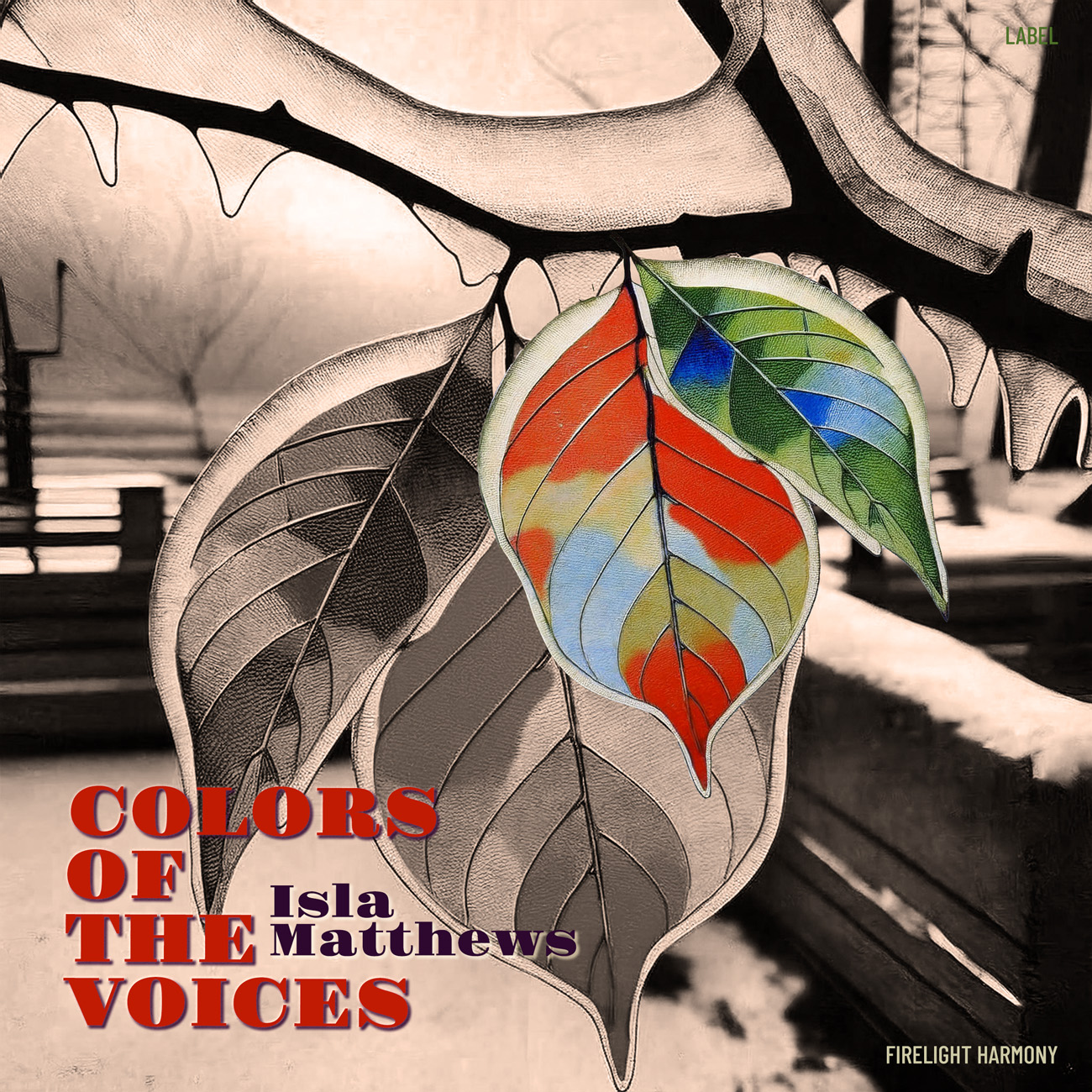 Premade Book Cover Akaroa