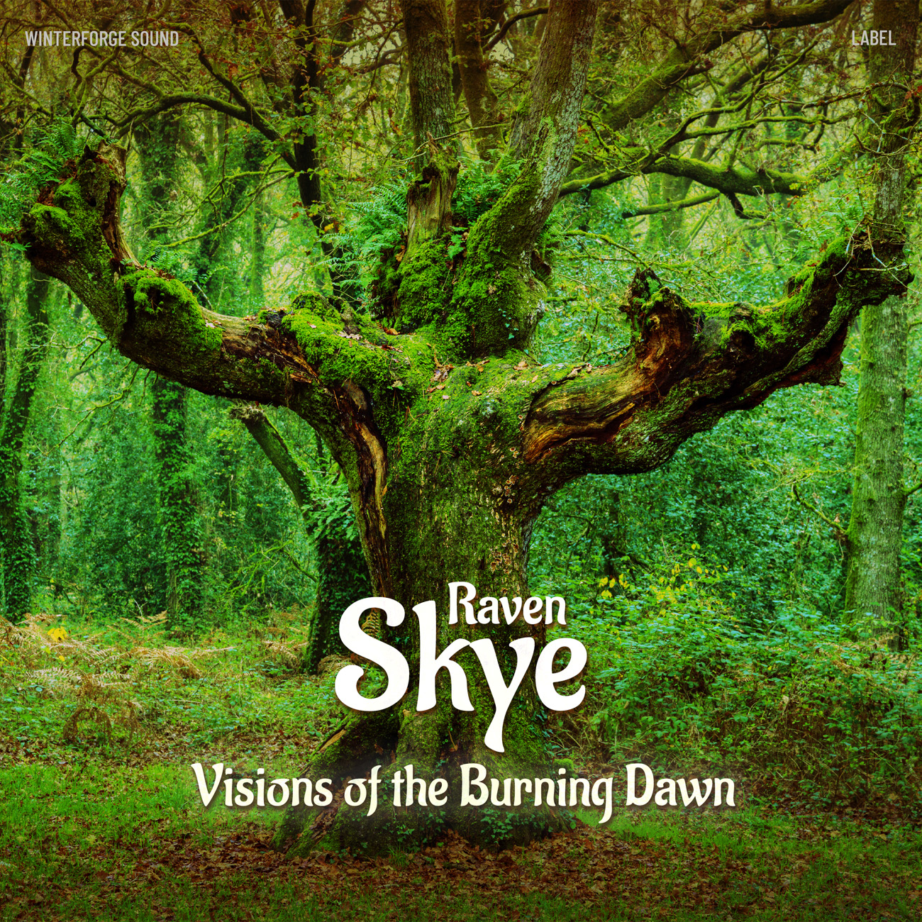 Front view of Premade Indie & Folk Music Album Cover - Waiouru #17028 | AlbumArtZone*
