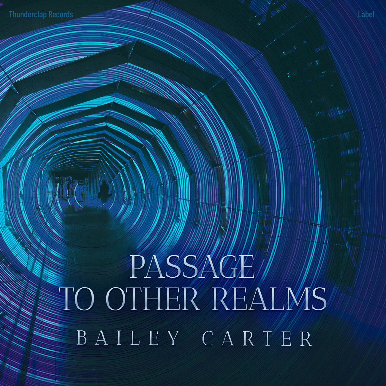 Premade Book Cover Blue Zodiac