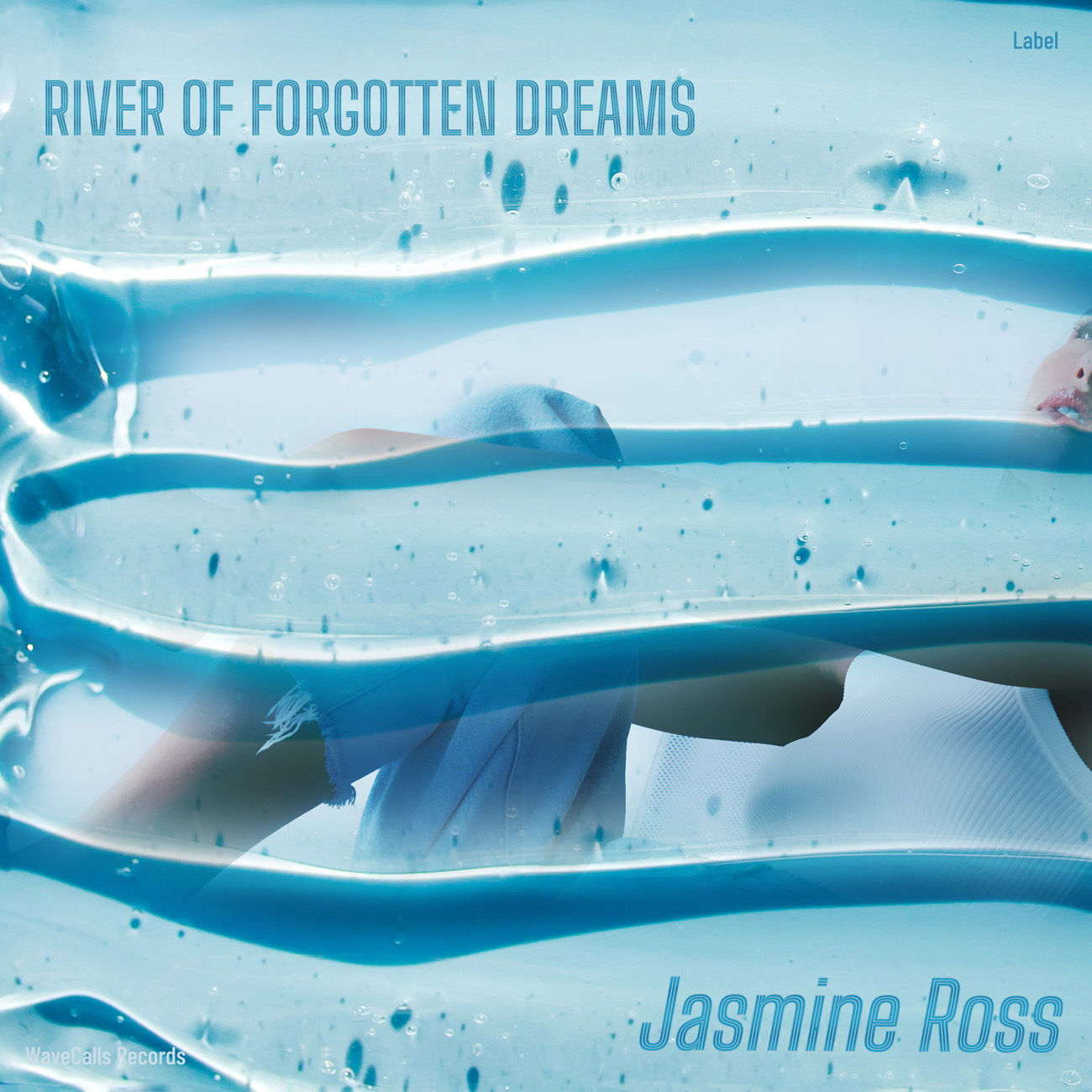 Premade Book Cover Aqua Island