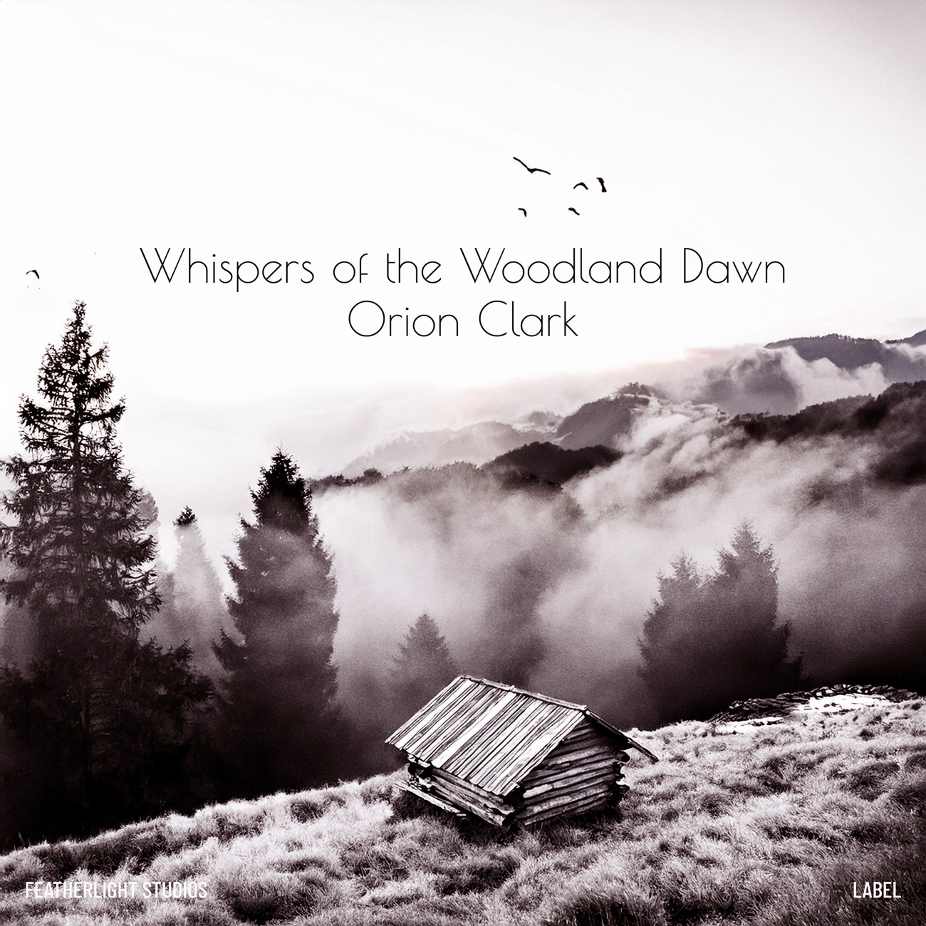 Premade Book Cover Pale Slate