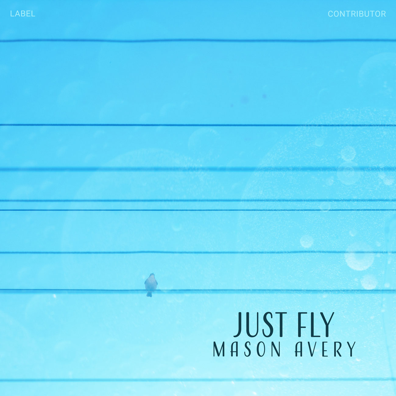 Premade Book Cover Malibu