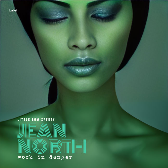 Premade Book Cover Killarney