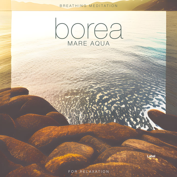 Premade Book Cover Pine Cone
