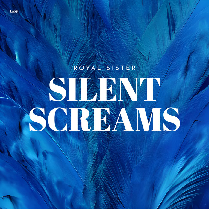 Premade Book Cover Venice Blue