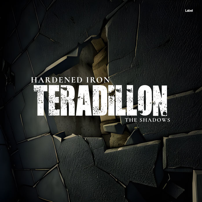 Front view of Premade Hip-hop, Rap & Trap Album Cover - Heavy Metal #21236 | AlbumArtZone*