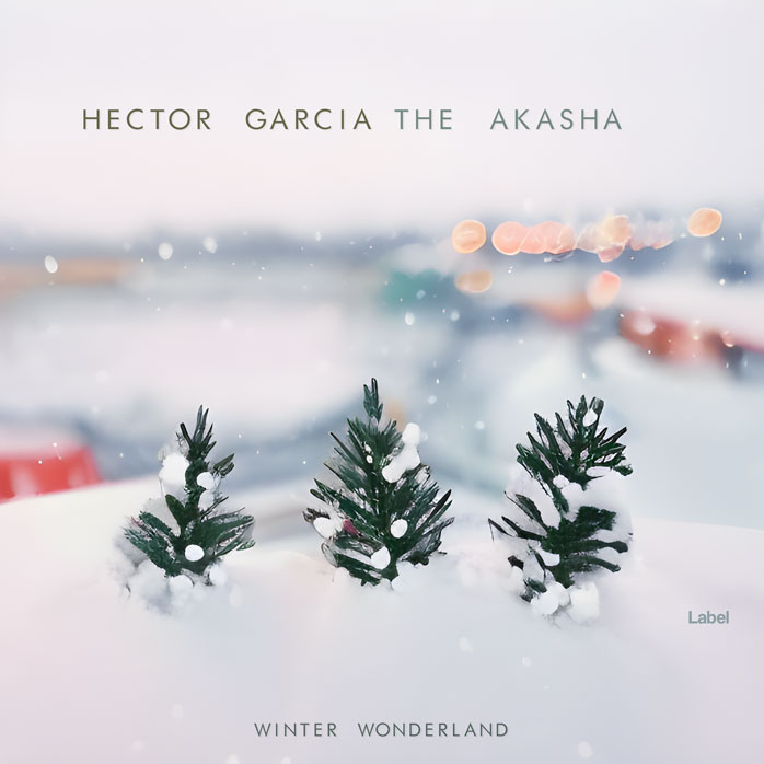 Premade Book Cover Mischka