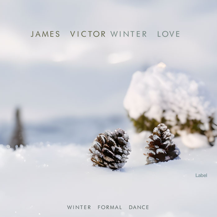 Premade Book Cover Mischka