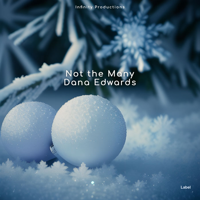 Premade Book Cover Kashmir Blue