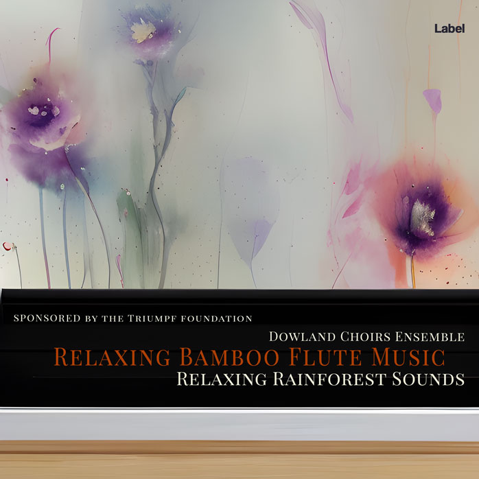 Premade Book Cover Silk