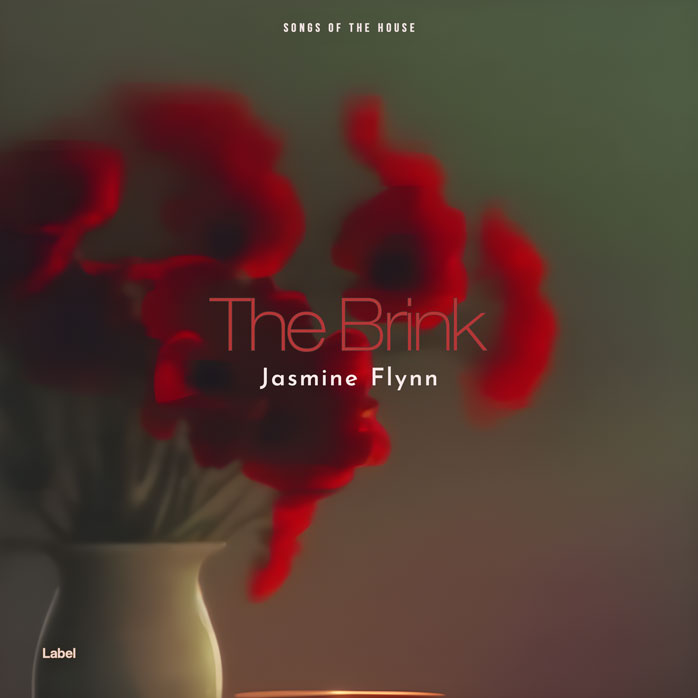 Premade Book Cover Judge Gray