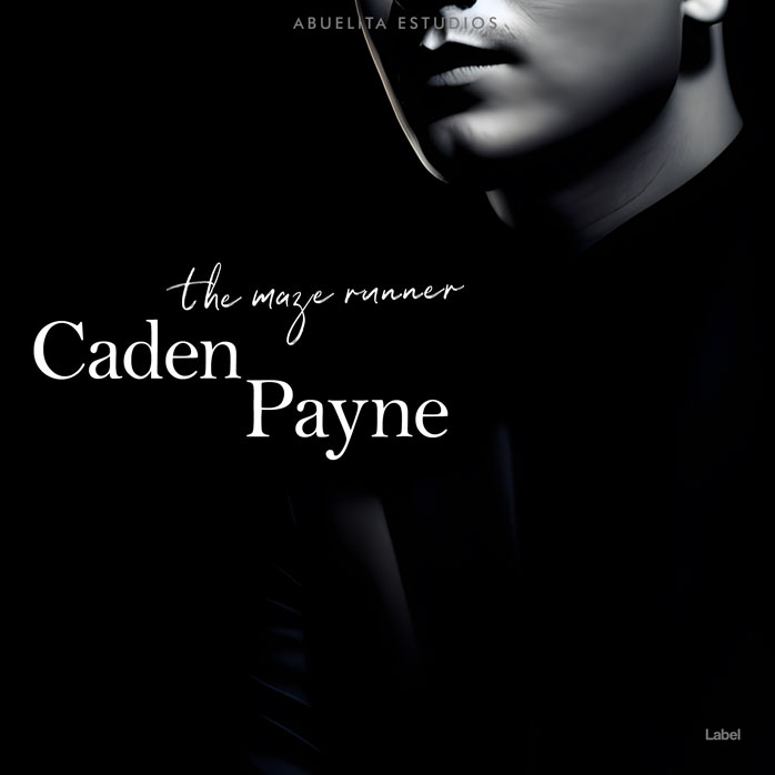Premade Book Cover Black