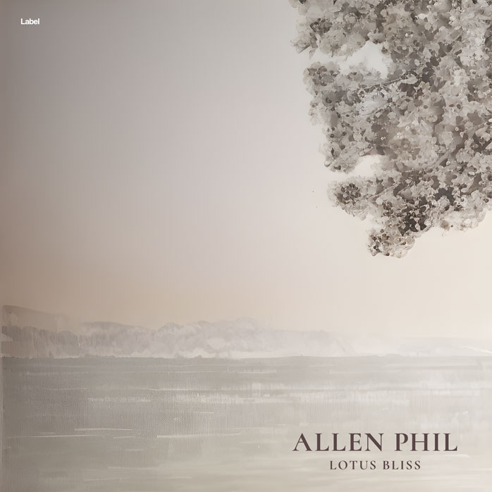 Premade Book Cover Silk