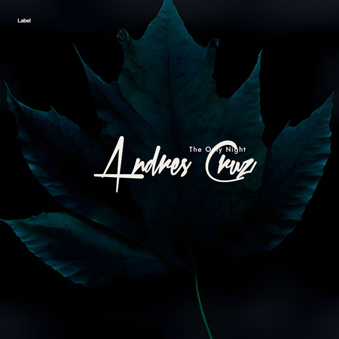 Premade Book Cover Ebony