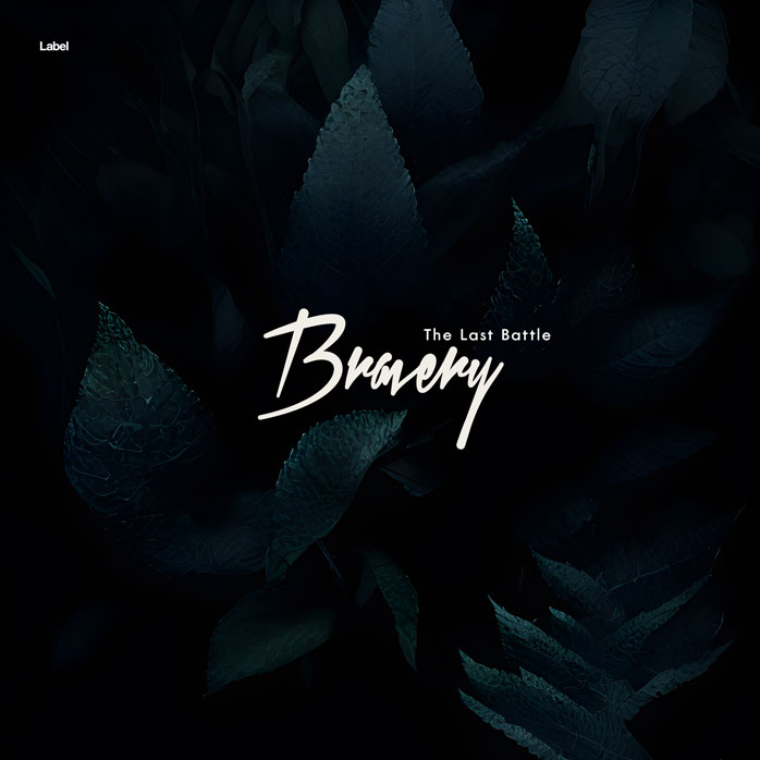 Premade Book Cover Ebony