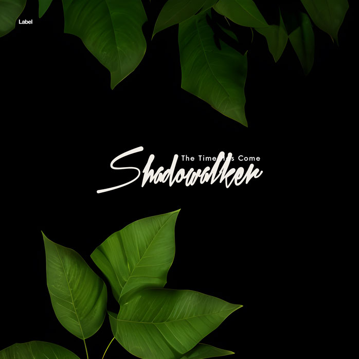 Premade Book Cover Black Forest