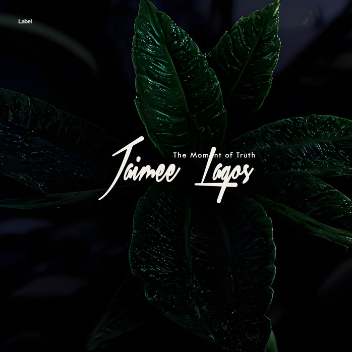 Premade Book Cover Racing Green