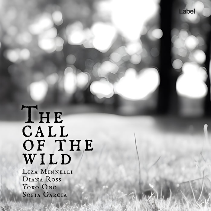 Premade Book Cover Silver