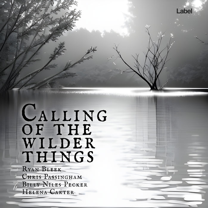 Premade Book Cover Oslo Gray