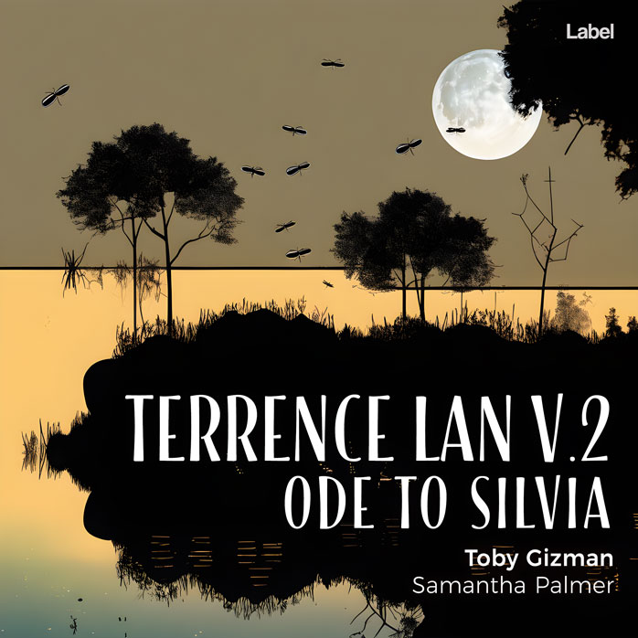 Premade Book Cover Cod Gray
