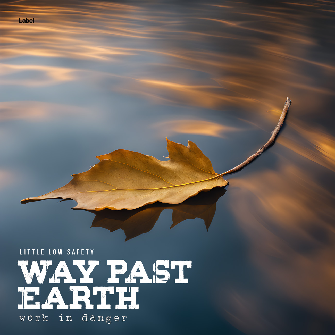 Premade Book Cover Abbey