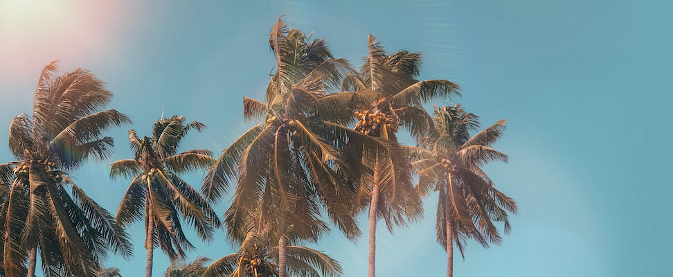 Summer Hits Premade Album Art