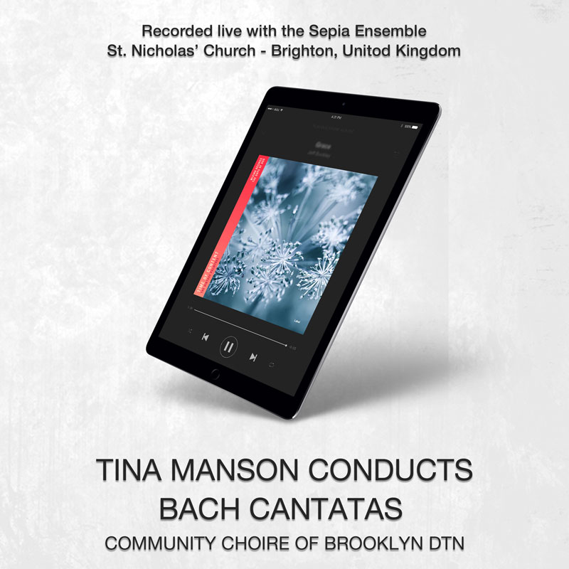 social media banner preview
