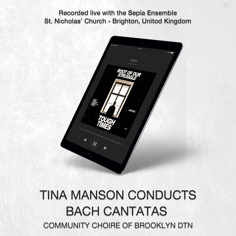 social media banner preview