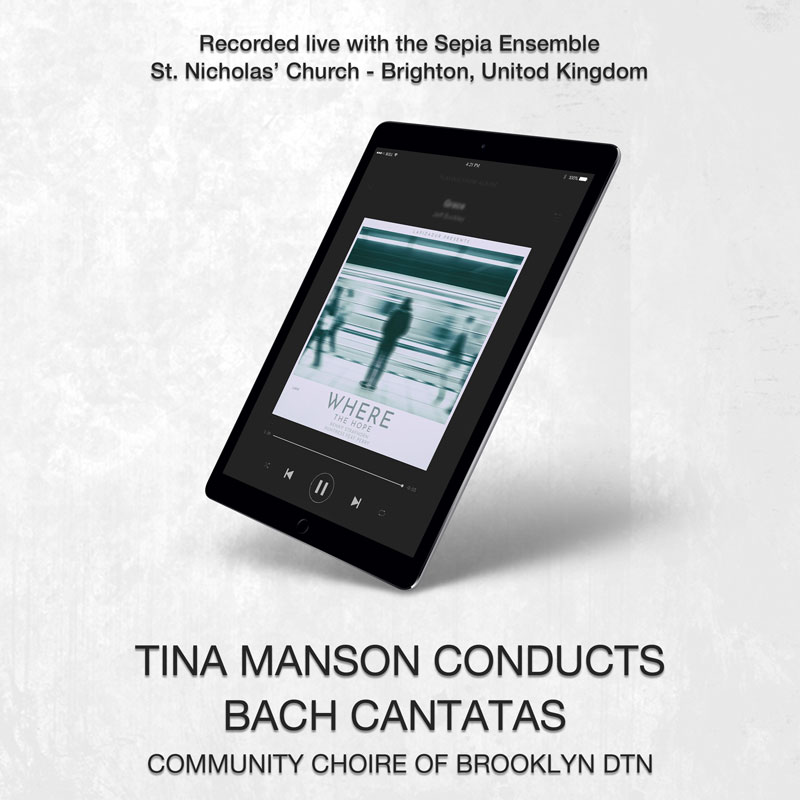 social media banner preview