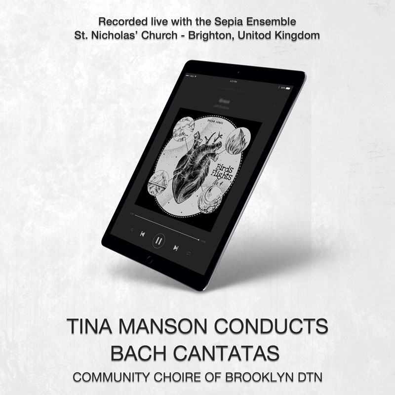 social media banner preview