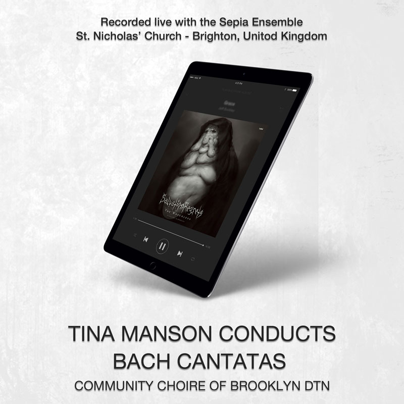 social media banner preview