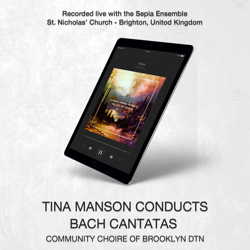 social media banner preview