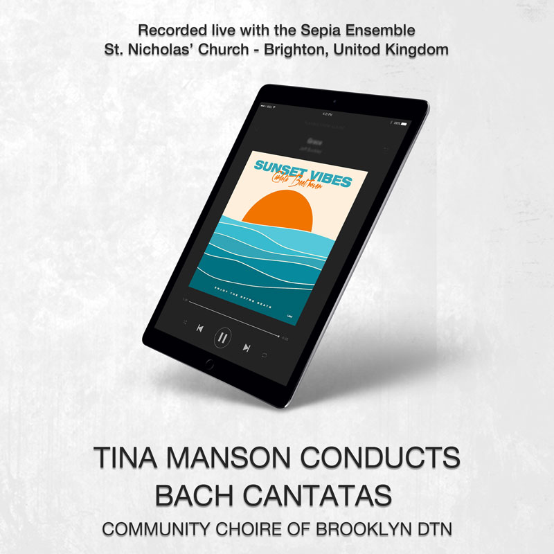 social media banner preview