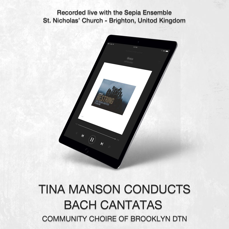 social media banner preview