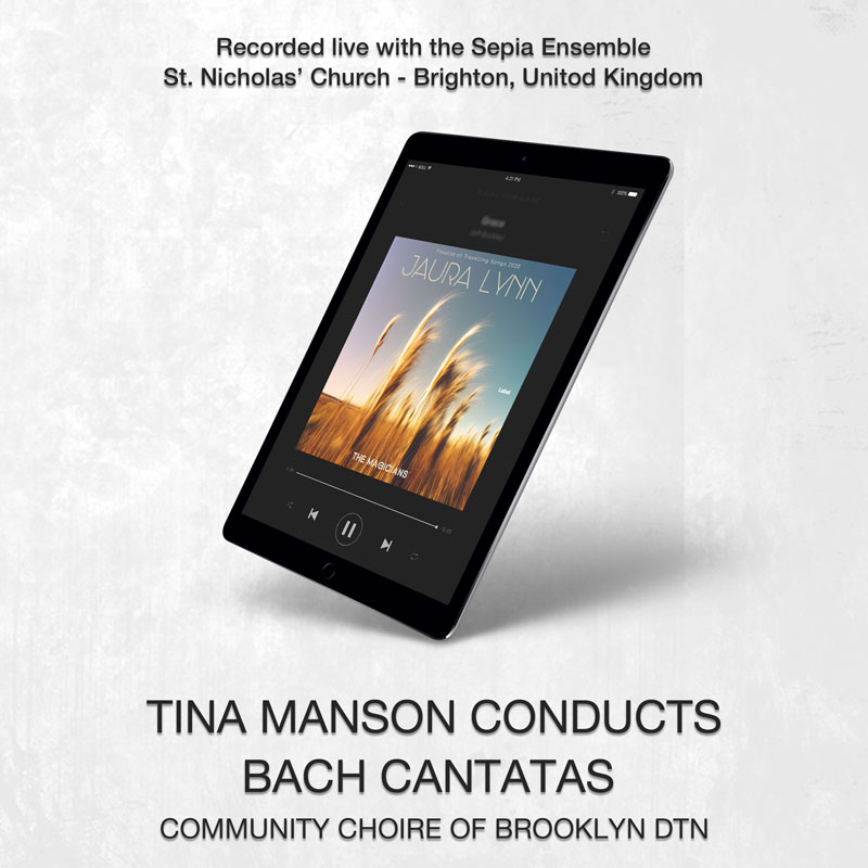 social media banner preview