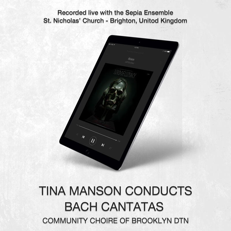 social media banner preview